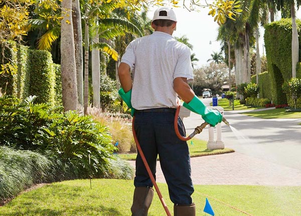 About Bigfoot TX Pest Control